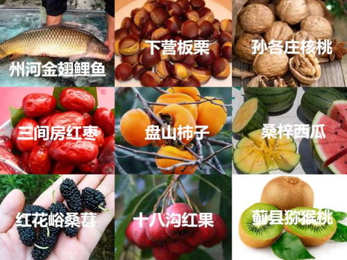 薊州風味 農副產品零食的質樸與創新